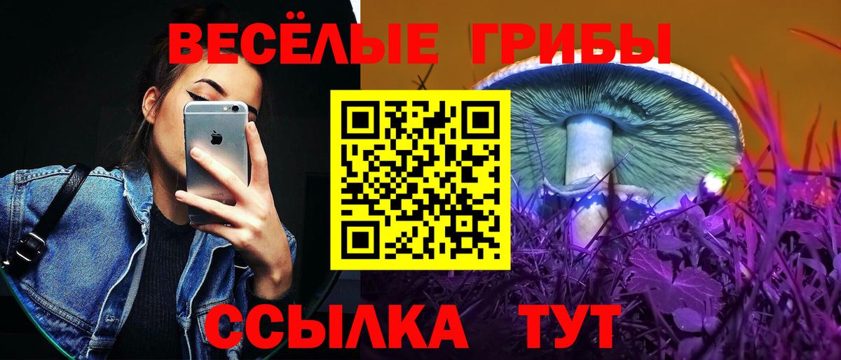 Галлюциногенные грибы ЛСД Екатеринбург