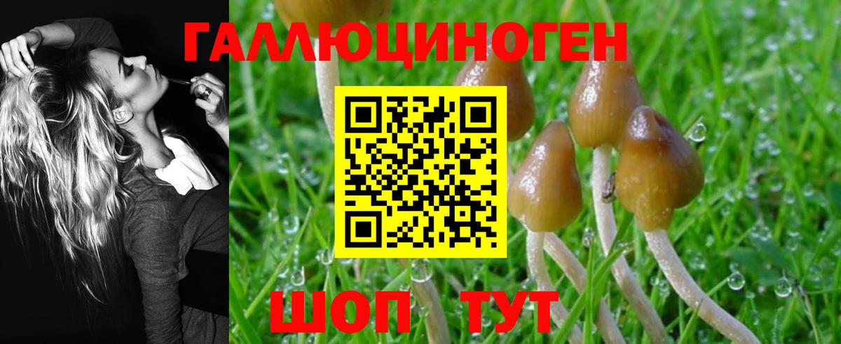 Екатеринбург  Псилоцибиновые грибы MAGIC MUSHROOMS  продажа наркотиков  Вход с VPN 